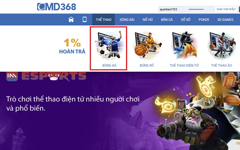 Cược quần vợt